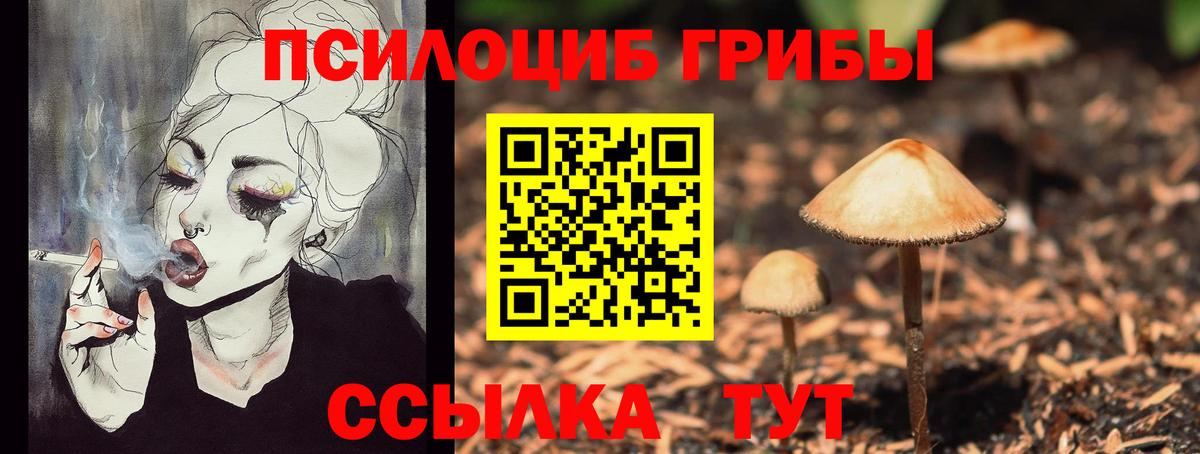 Чехов  Псилоцибиновые грибы ЛСД  Вход с VPN 