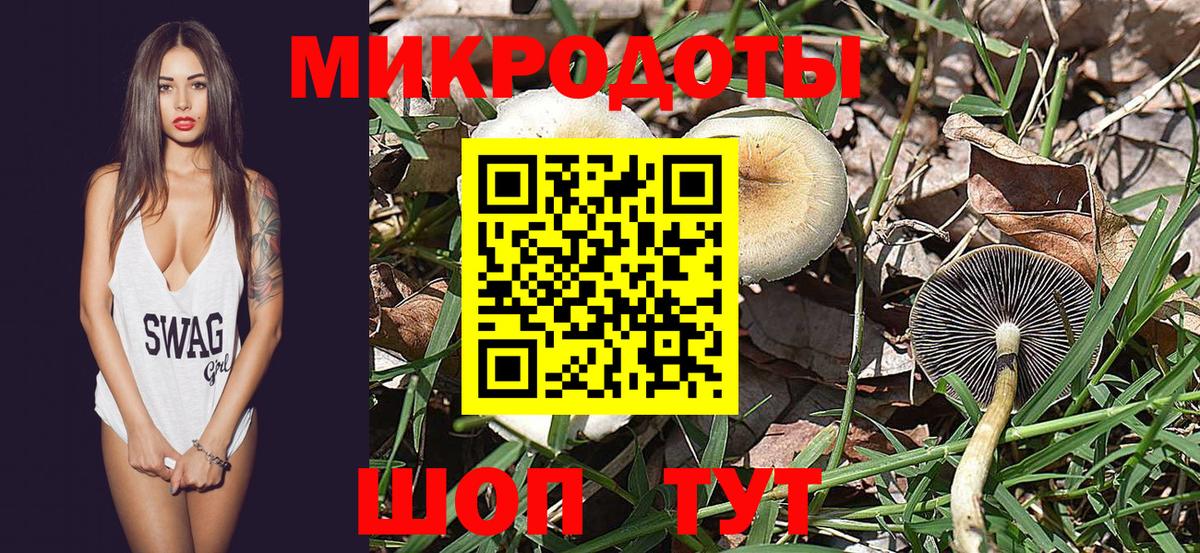 Псилоцибиновые грибы прущие грибы Чехов